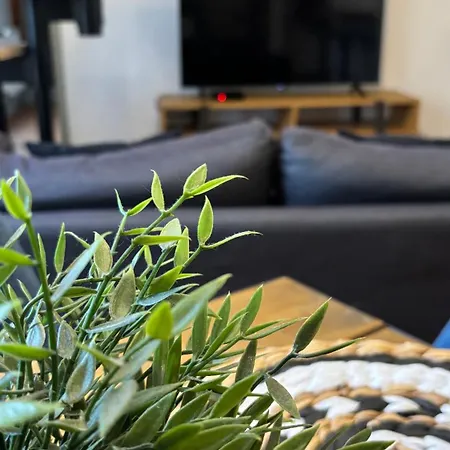 Le Refuge De Ferrare - 6 People - Hyper Center Appartement